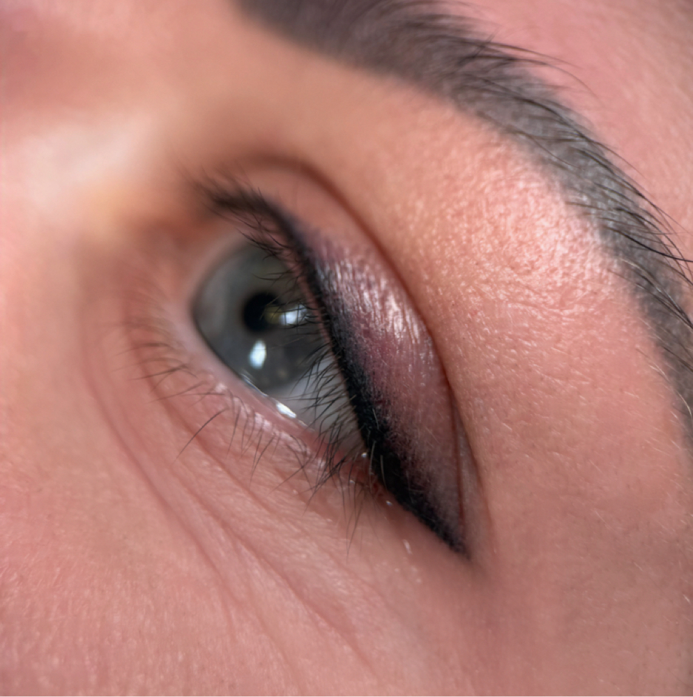 Eyeliner Touch Up at Vogetica Beauty Lab (Regina) in Dallas, TX