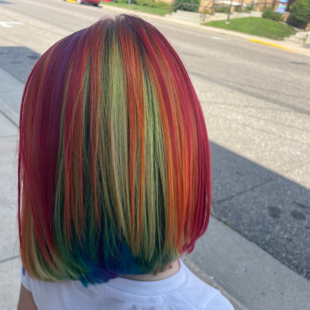 Full Vivid Color at Wynter Willow Salon in Baraboo, WI