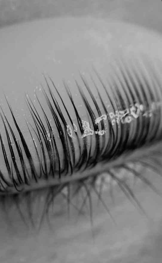 Lash Lift (Model )