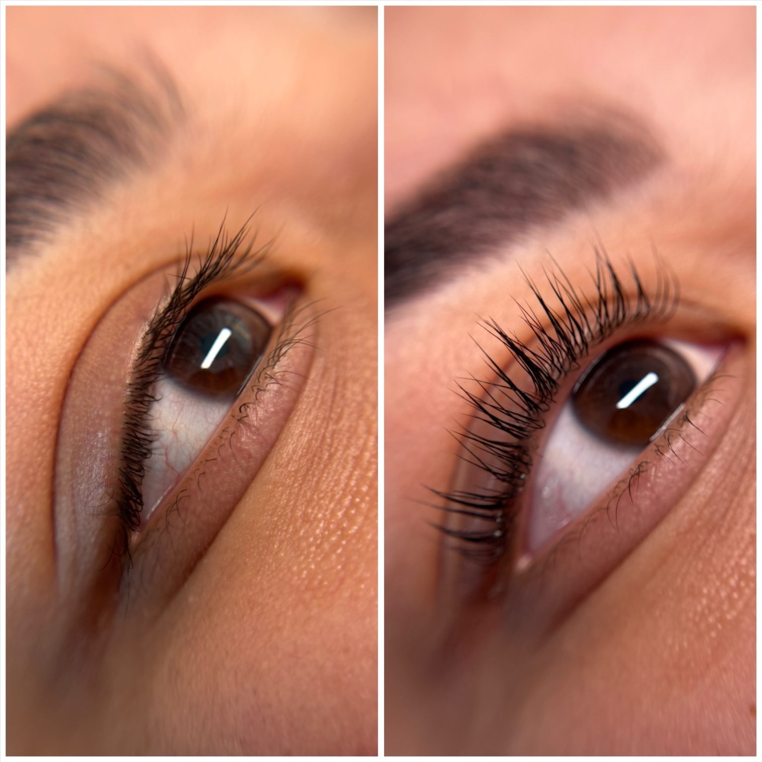 Lash Lift + Tint at Illuminate Aesthetics in Greensboro, NC