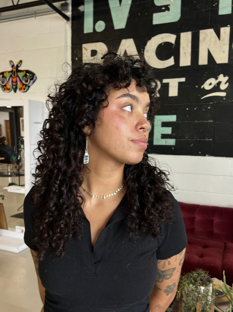 Curly Cut at Sappho Snips in Tampa, FL