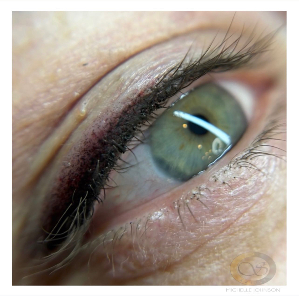 Eyeliner-Star Dust 4-6wk Touchup at Mjartistry in Manahawkin, NJ