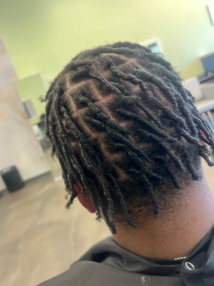 Starter Locs