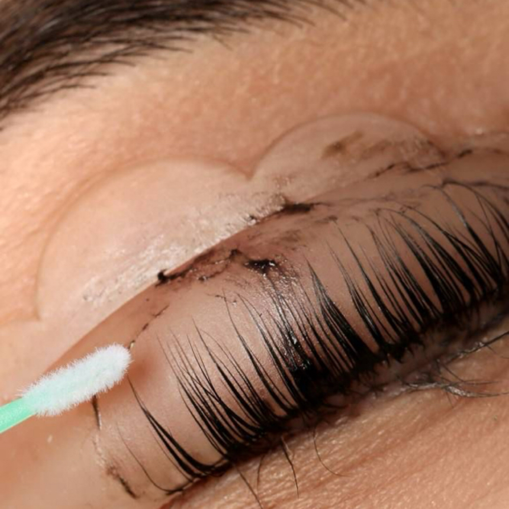 Lash Tint Only at 317 Lash Studio in Cicero, IN