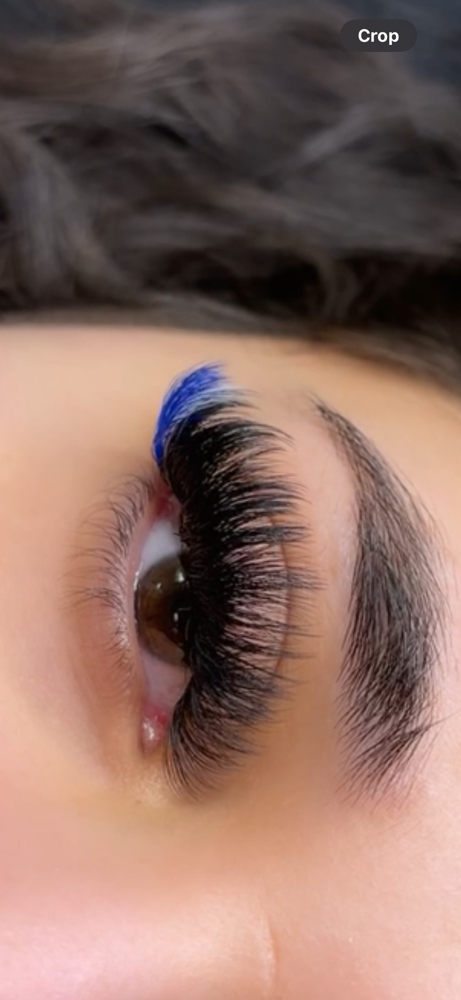 Volume Lash 3 Week Fill In