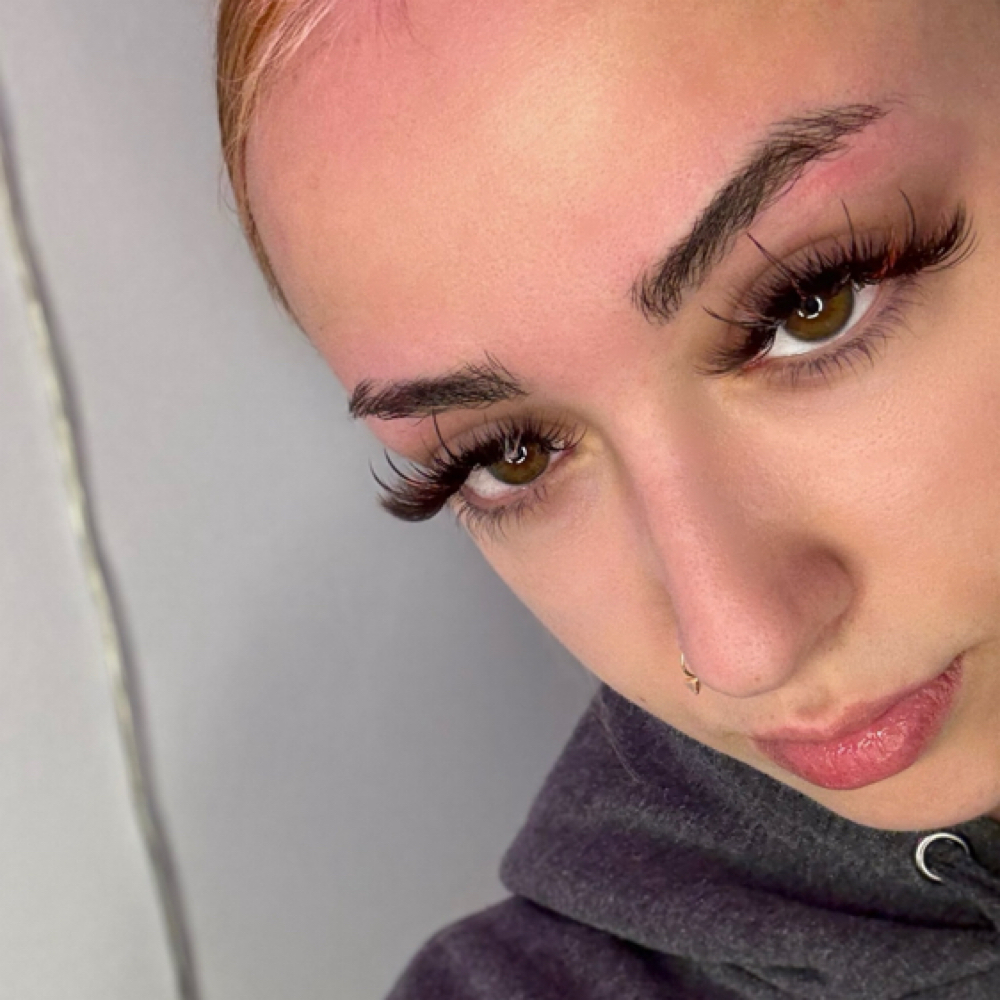 Brown Hybrid,Vol Or Wet Set