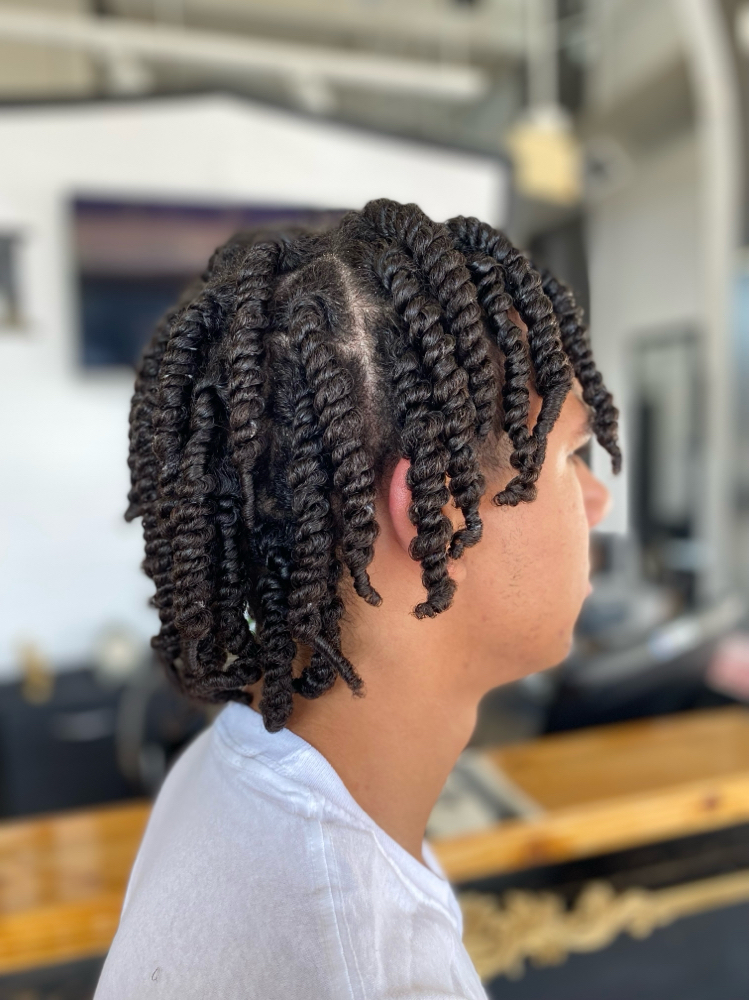 Two Strand Twist/Twist Out
