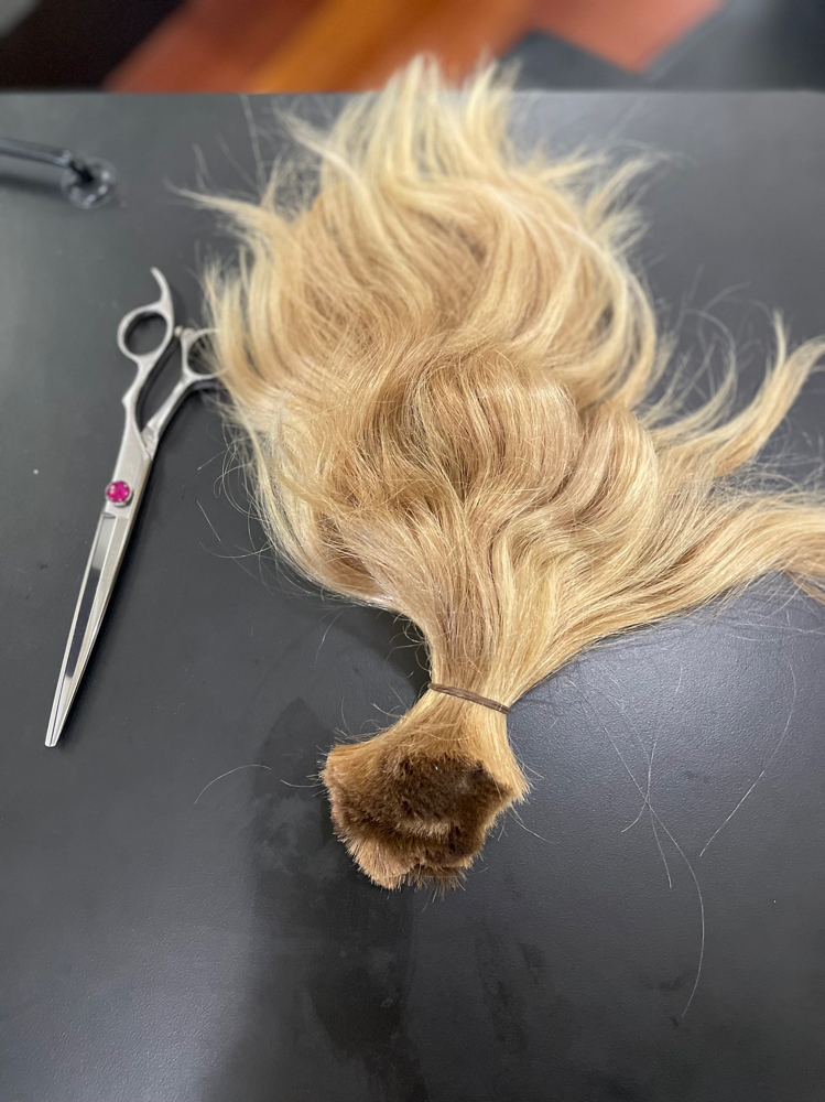 Hair Consultation