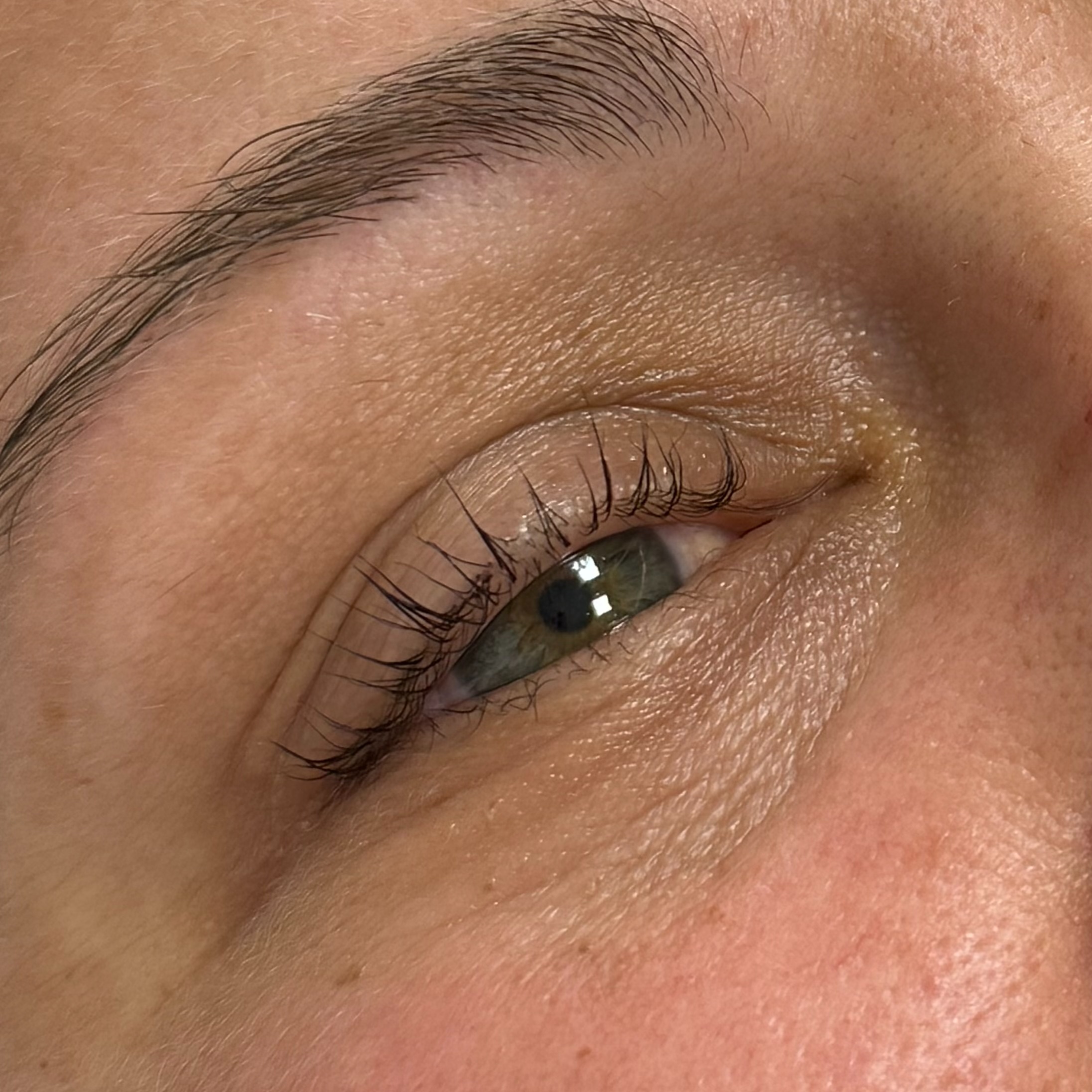 Lash Lift & Tint at GH Beauty & Co. in Broussard, LA