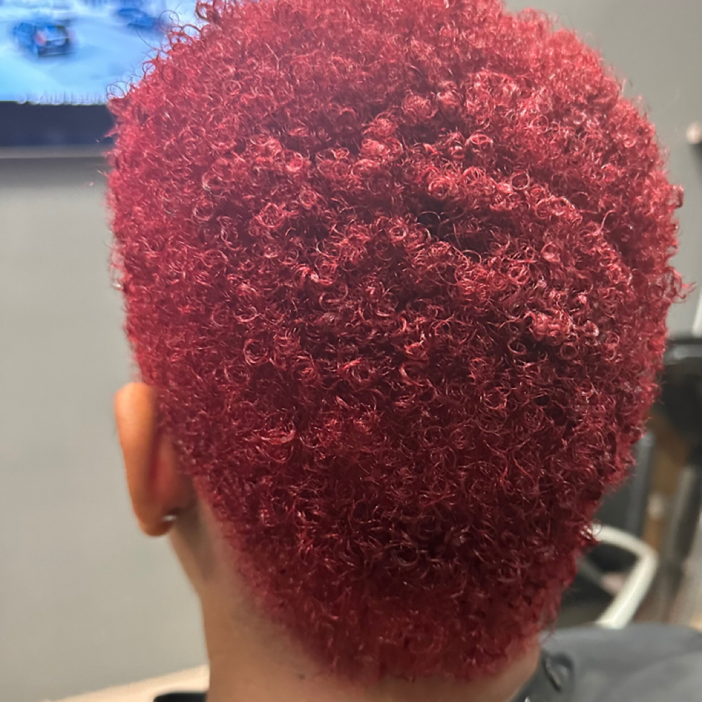 High-Lift For Color (Blondes/Reds) at Toya’s Touch Hair Studio in Round Rock, TX