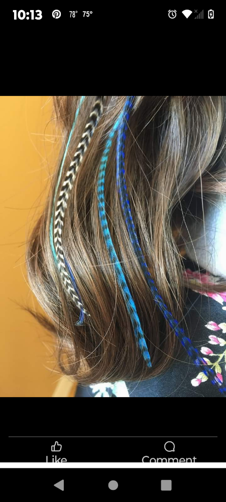 Hair Feathers