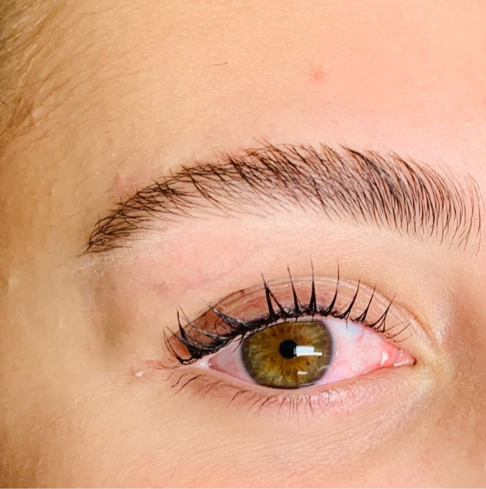 Brow Tint/shape Or Wax at L A BEAUTY STUDIO in Lakeway, TX