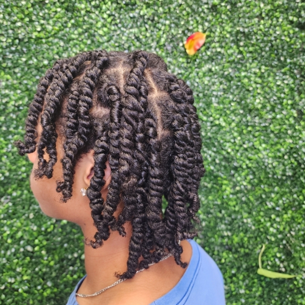Two Strand Twist at Passionate Creations Hair Salon LLC in Cary, NC