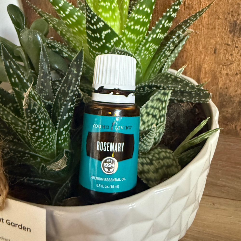 Rosemary Scalp Massage at Spotted Cow Wellness in West Branch, MI