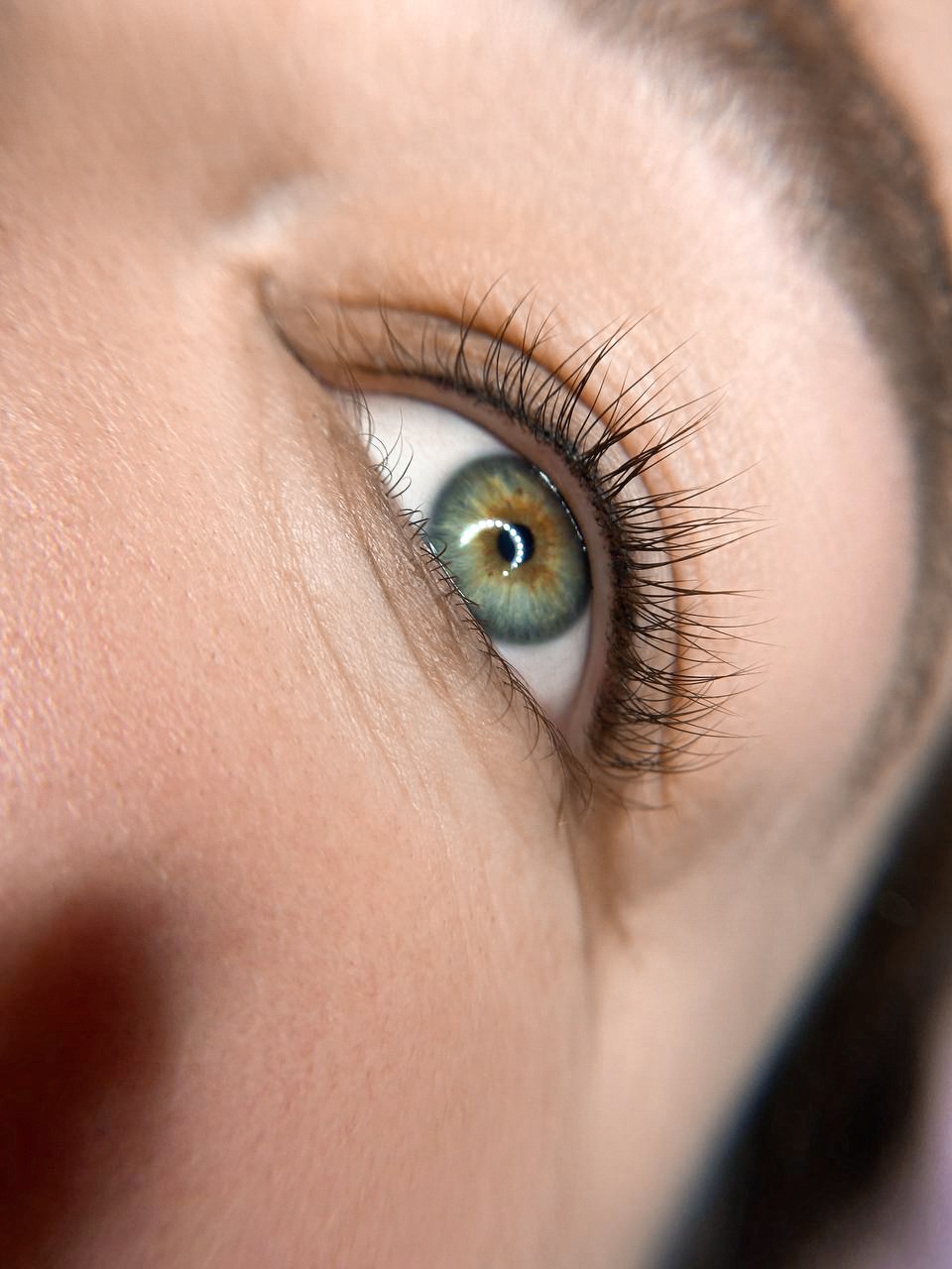 Lash Line Touch Up 365+days