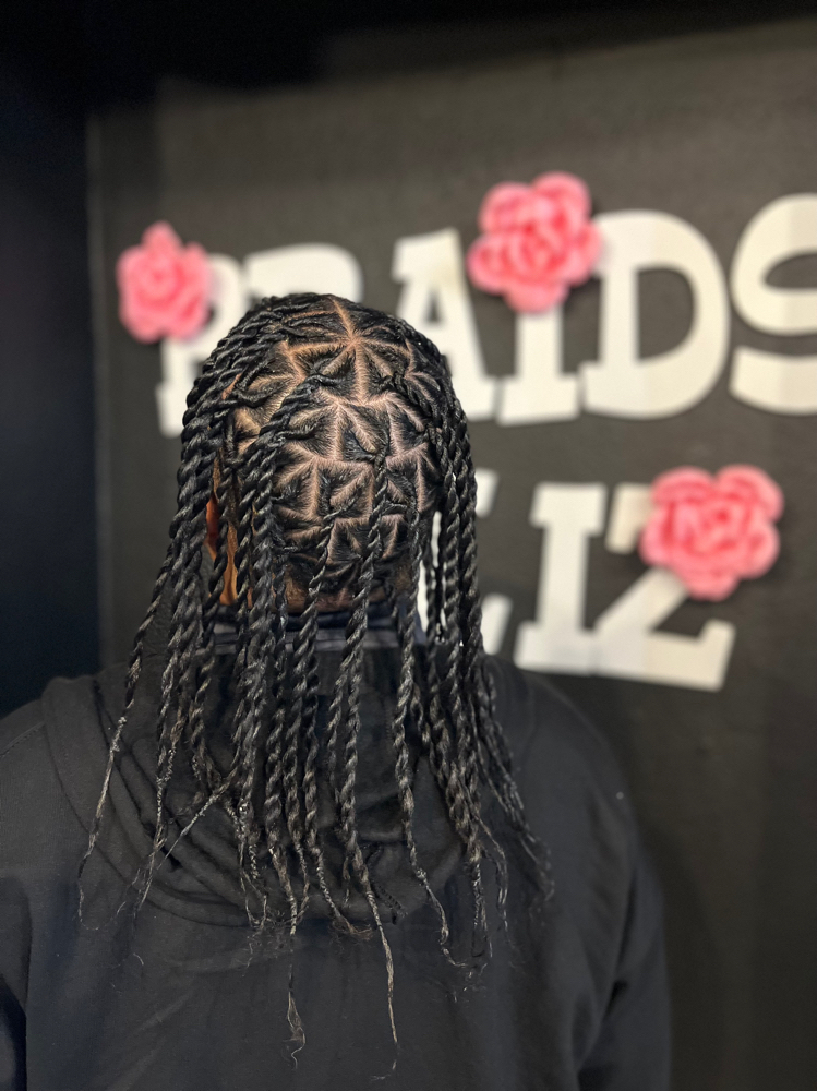 2 Strand Twist , Whole Head