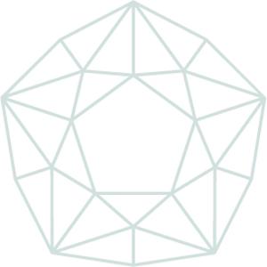 Polished Luxury Subscription