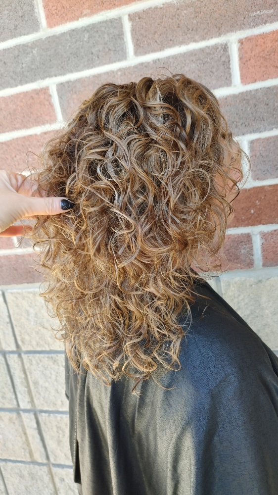 Shampoo And Style