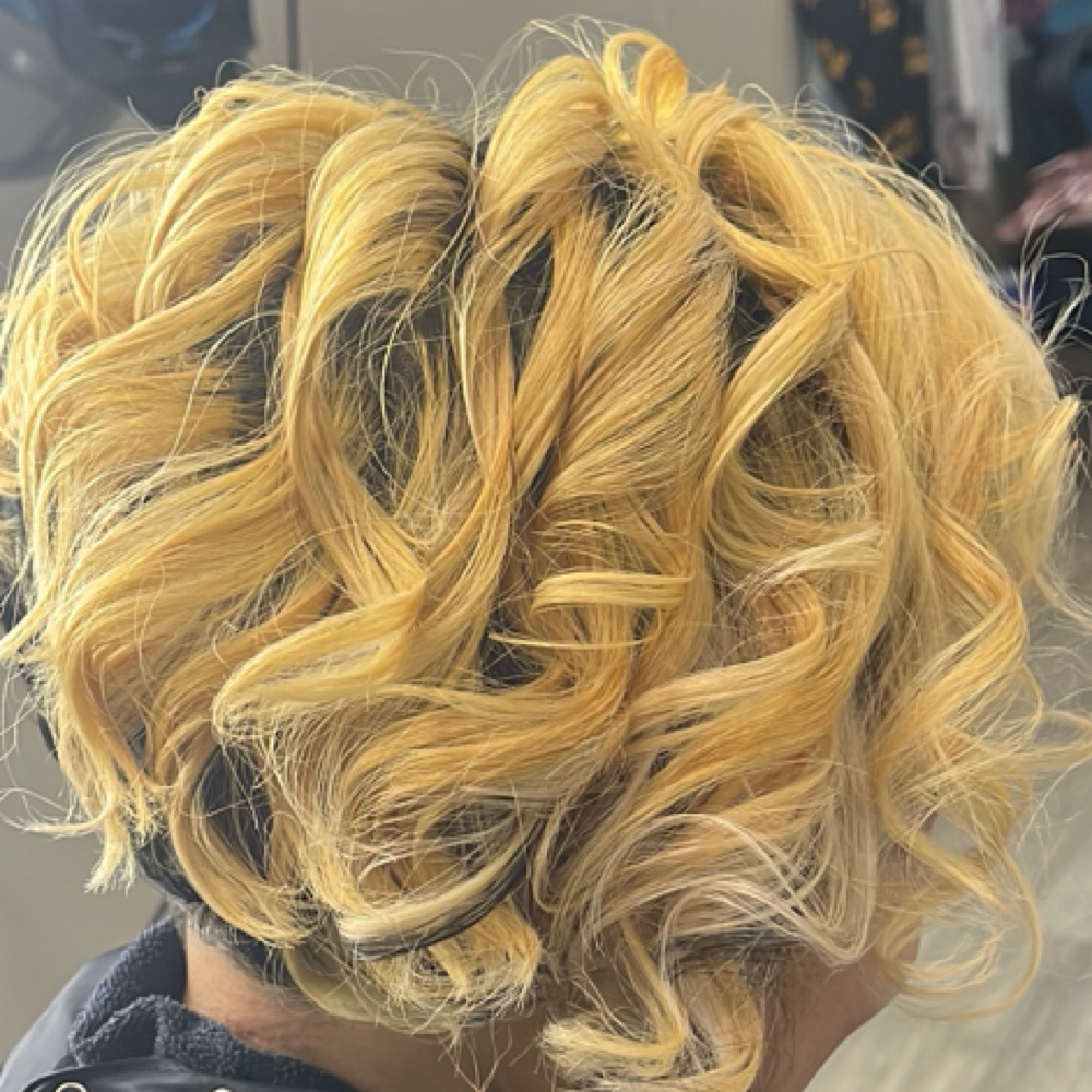 Luxury Color Transformation at The Thairapy Suite A Natural Hair Care & Loc Maintenance Salon Suite in Henderson, NV