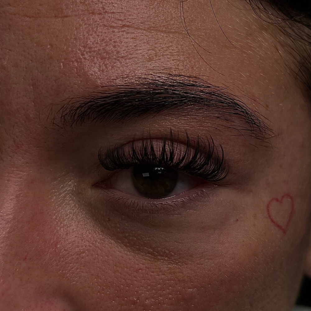 Volume Lashes at Salon Niche in Knoxville, TN
