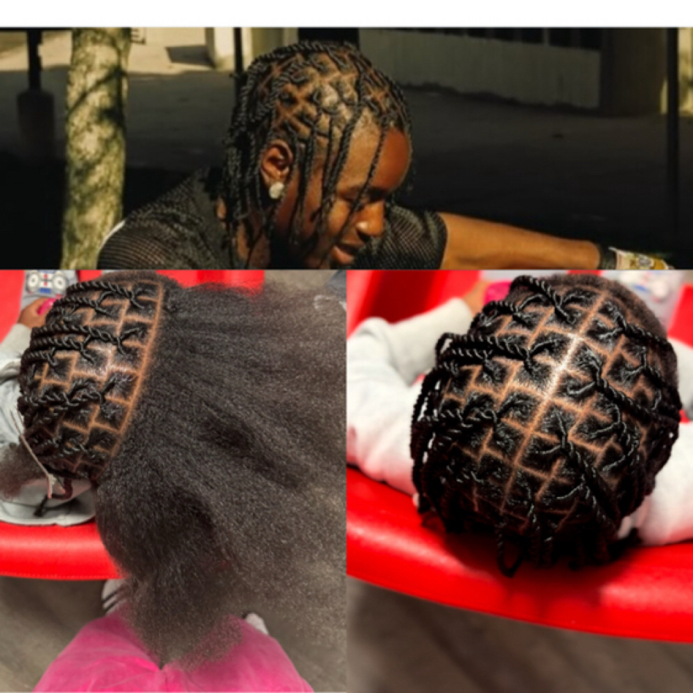 2 Strand Twist (No Locs) at Touched by Diana in Hawthorne, CA