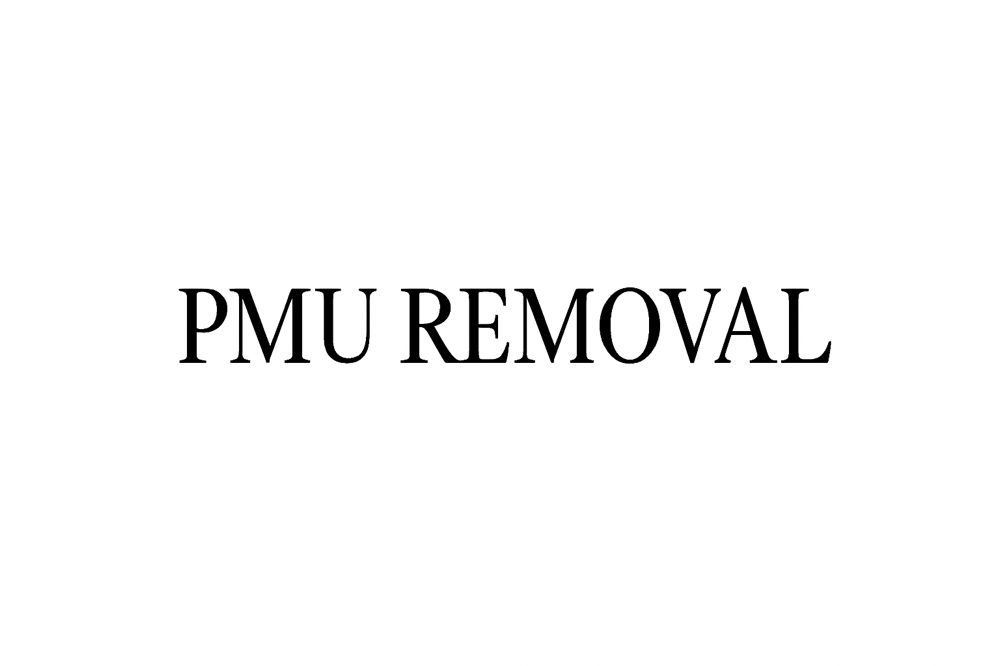 PMU Removal Session at Snatched Beauty in Dallas, TX