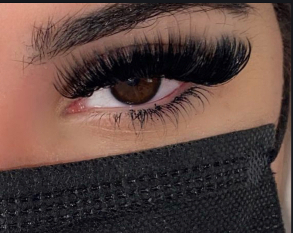 Mega Volume 2 Week Fill at Signature Lash Artistry in Chino Hills, CA