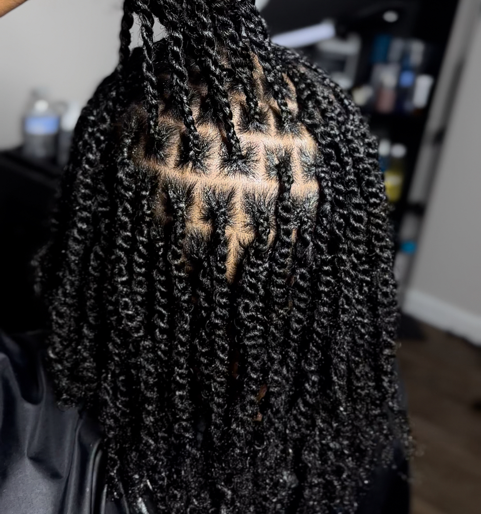 Women’s Mini Twist