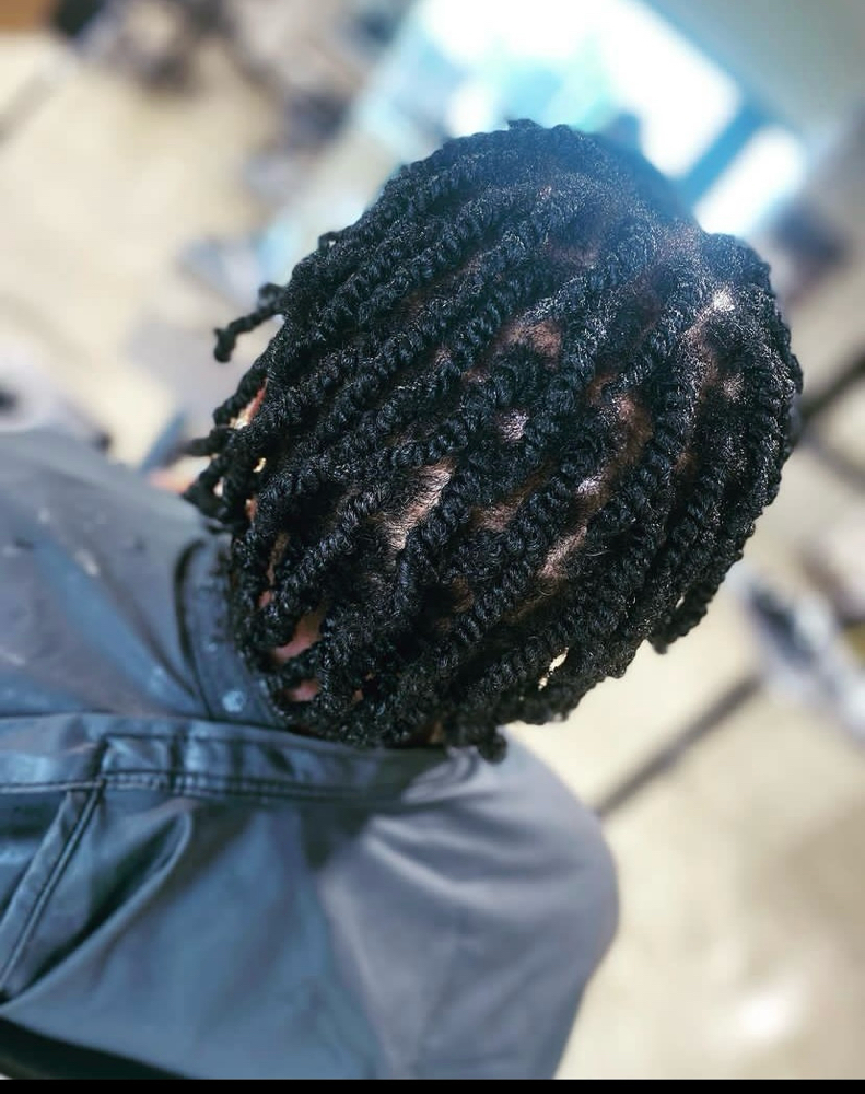 Two Strand Twist