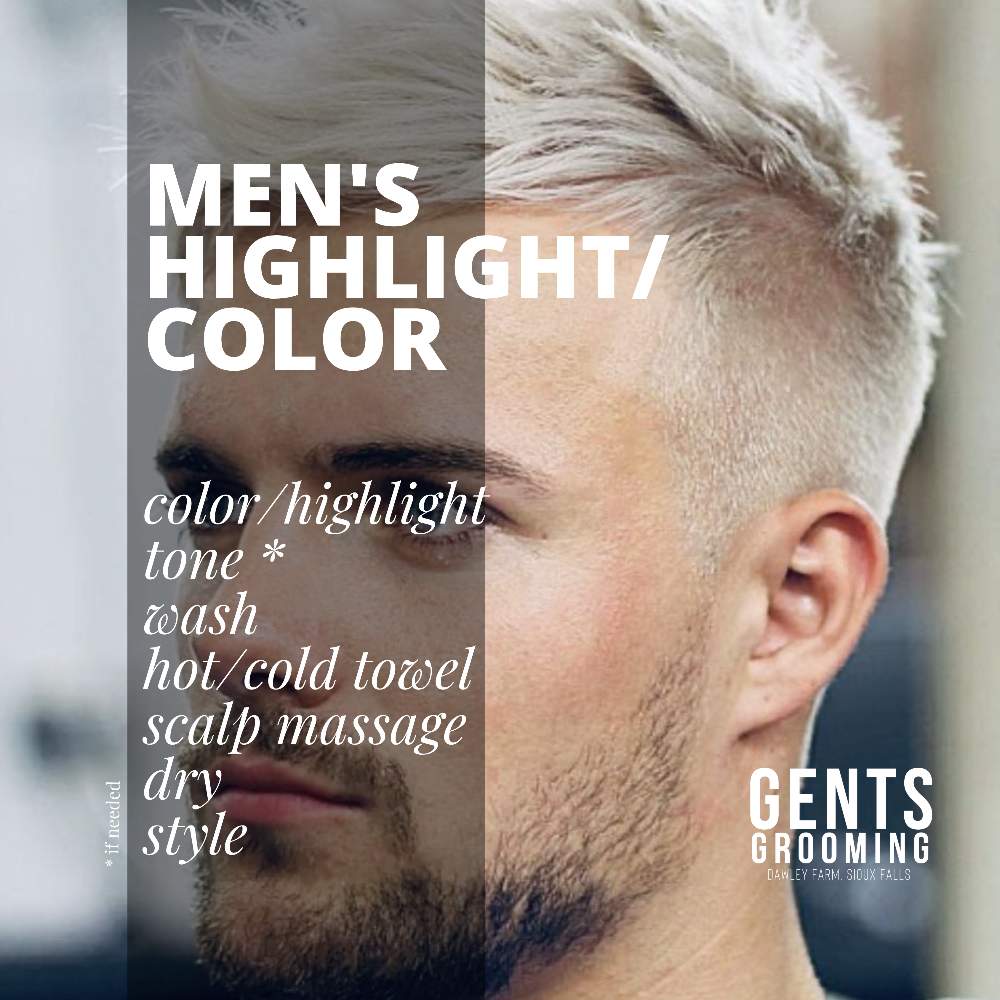 Highlight/Color Full Head