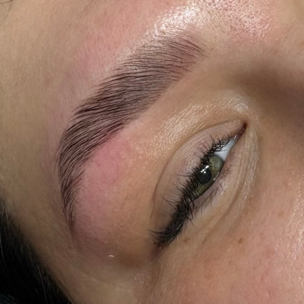 Brow Lamination at Premier Lash Spa & Academy in Effingham, IL
