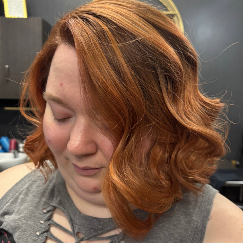 Color, PartialHighlight, Cut & Dry at Salon Anaj and Botanicals in Webster, TX