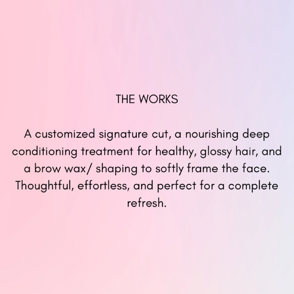 The Works ✨ at Tabby Paints Hair in Overland Park, KS