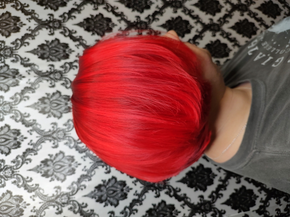 Vivid Color Service