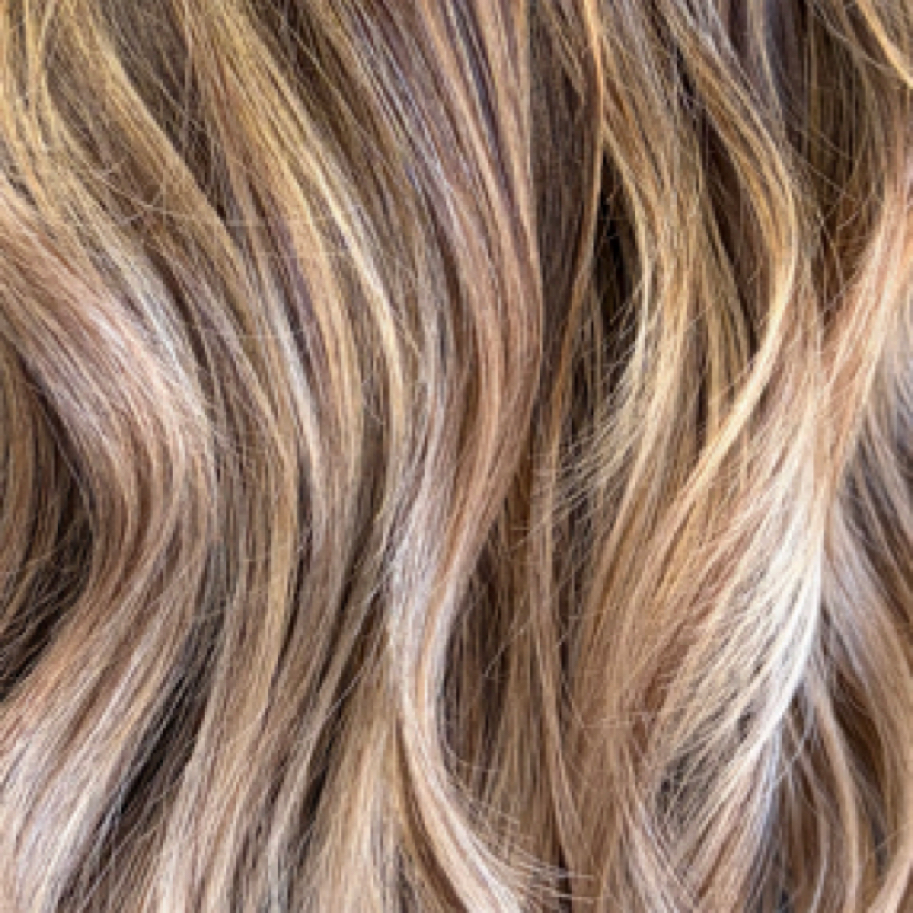 Highlights • Stephany