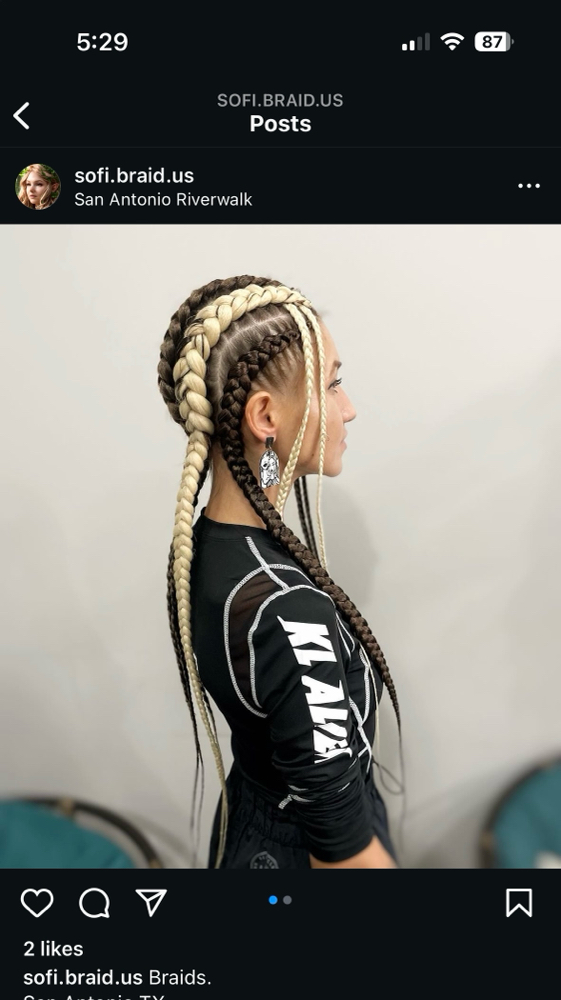 Braids ( 3+ )