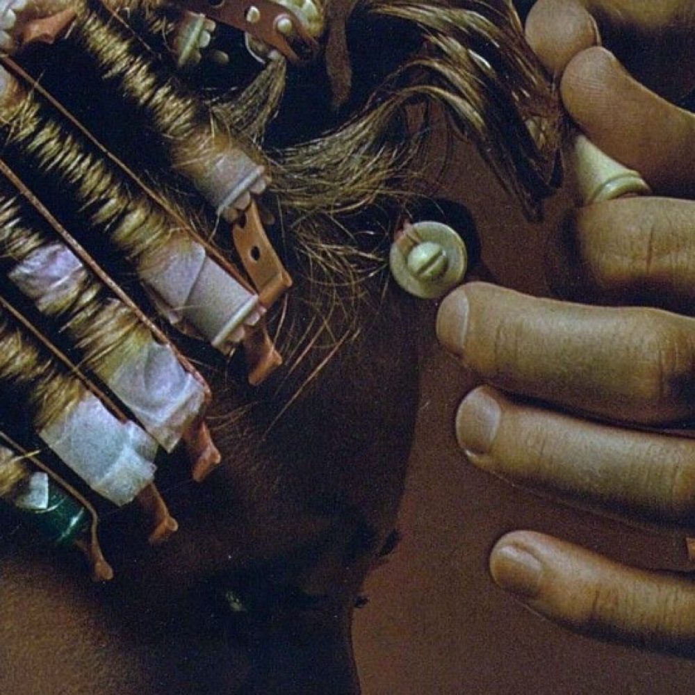 Regular Perm at Aura Salon in Chambersburg, PA