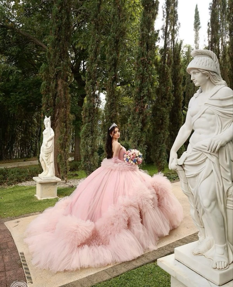 Quinceañera Custom Dress