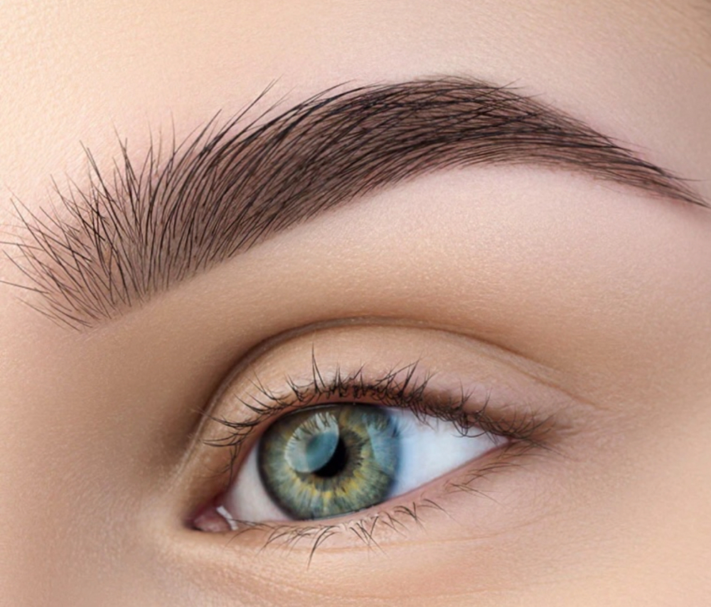 Shadow/ Powder Brows Pigmentation