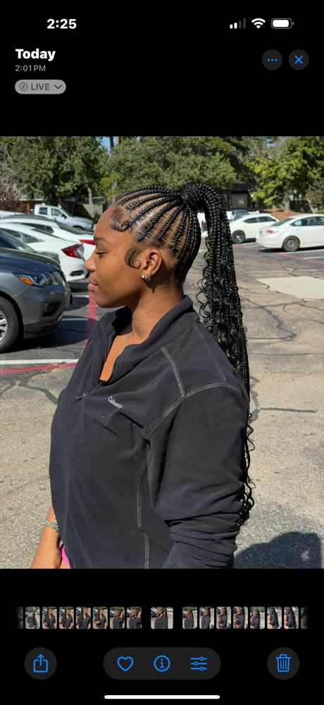 Braided Ponytails π