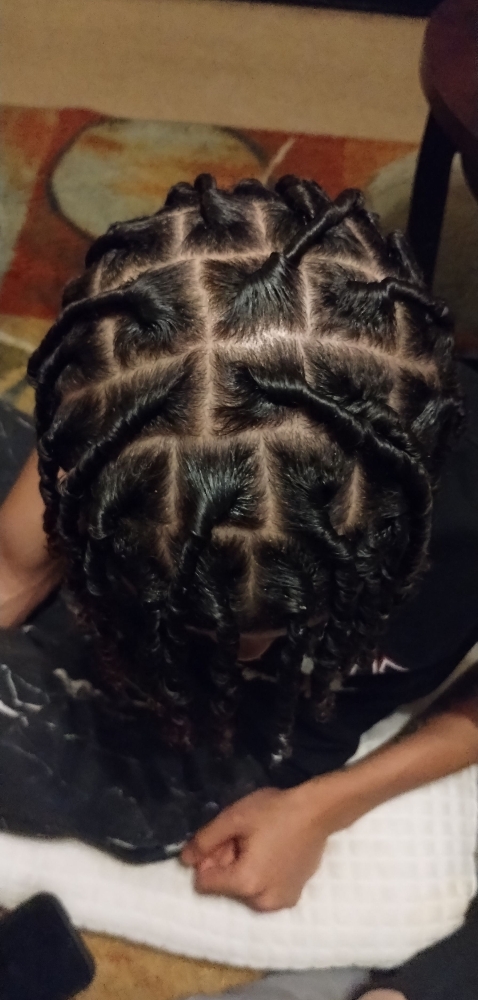 Starter Locs (Comb Coil)