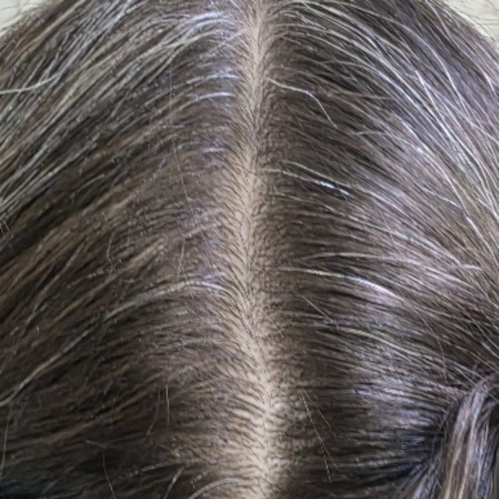 Root Touch up at Shear Divination in Wesley Chapel, FL