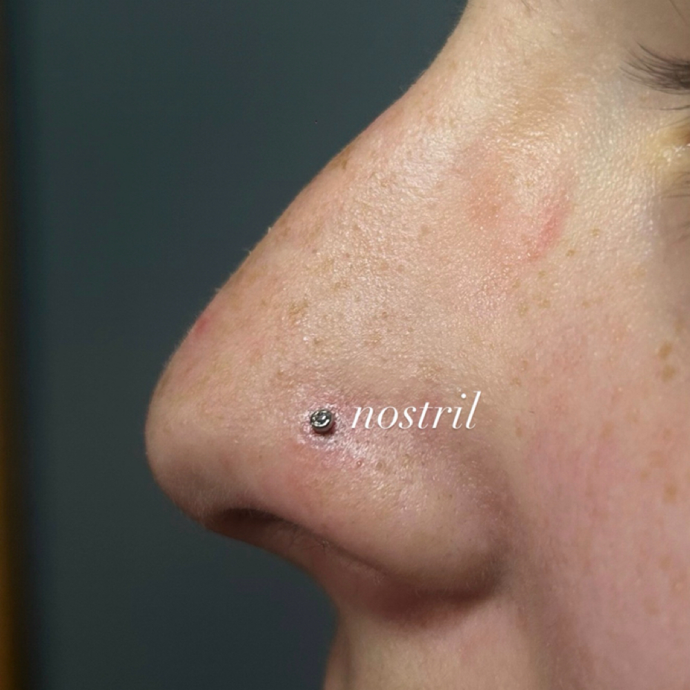 Nose at Tattoo Tech in Moraine, OH
