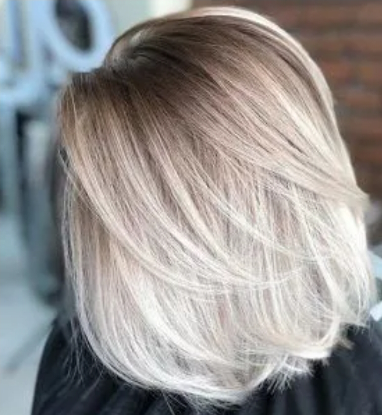 Balayage / Ombre Haircut & Style