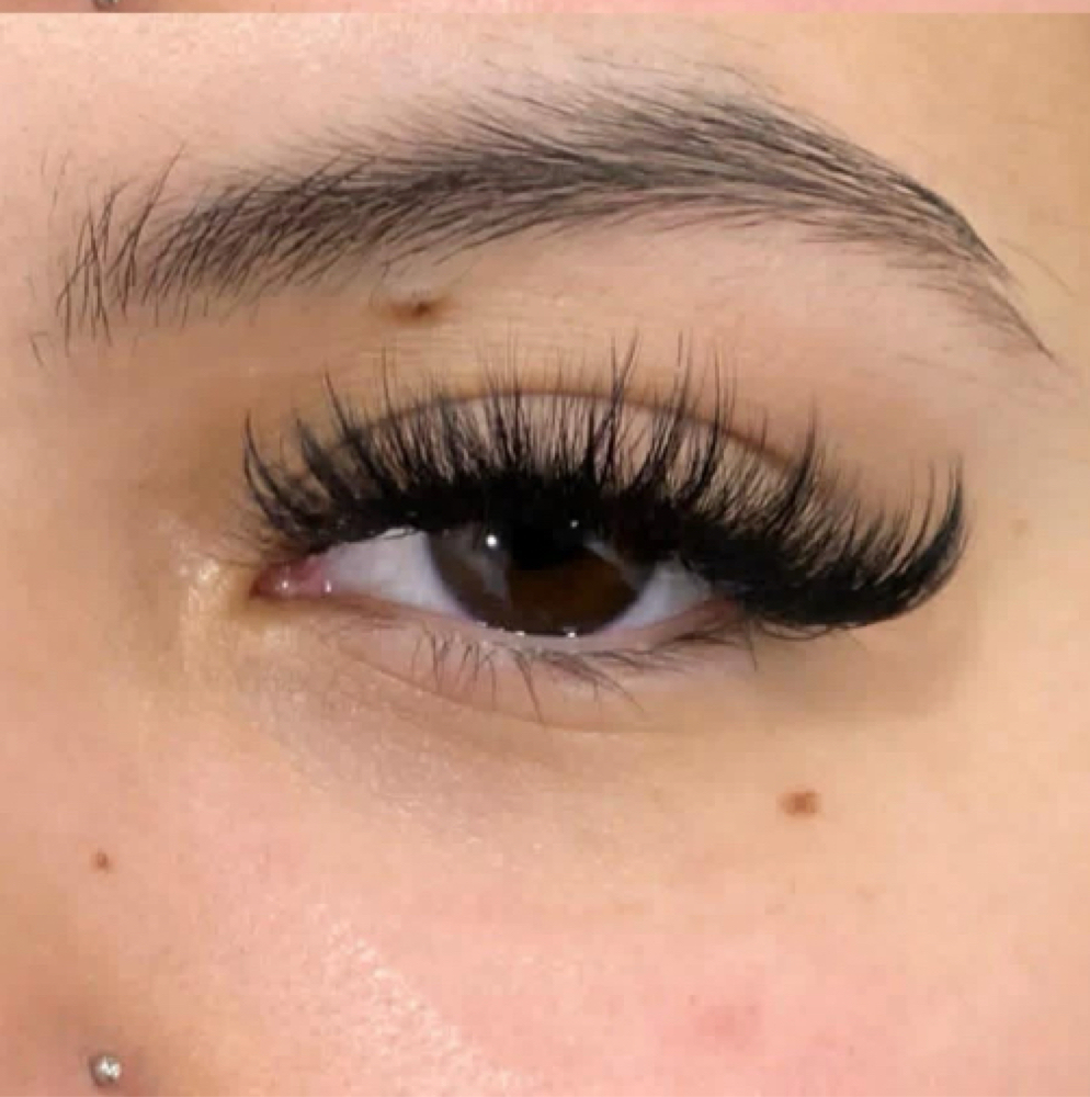 Fill In - Volume Lashes at ˚.⋆The Esthetic Apothecary⋆.˚ in Baxley, GA