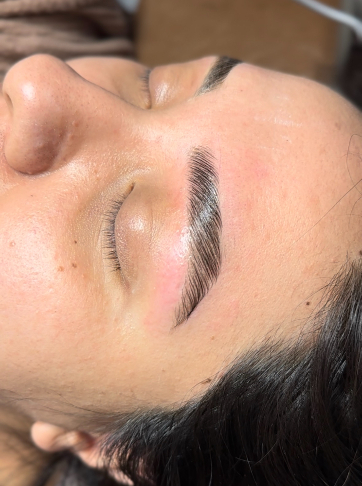 Eyebrow Lamination