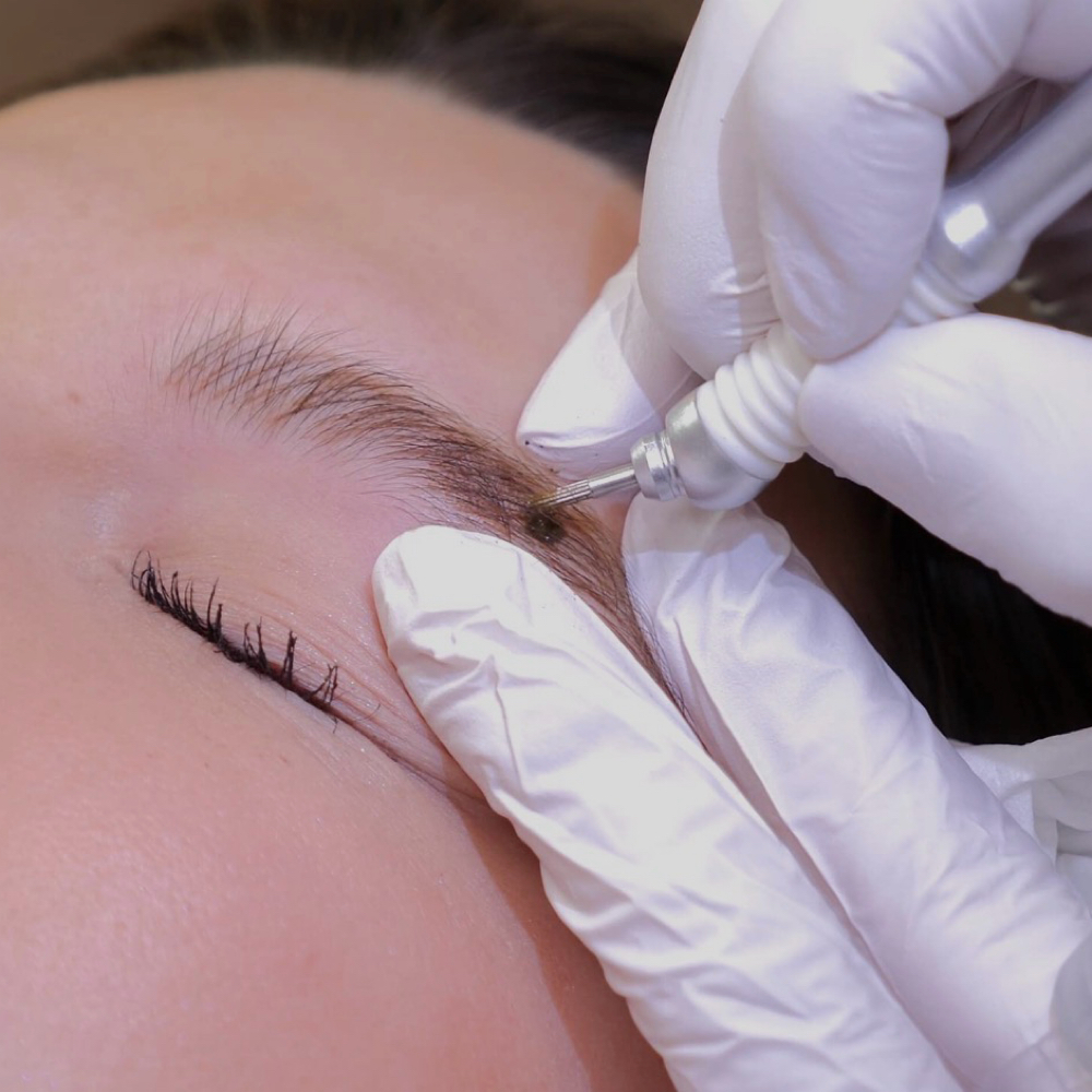 6 Week Touch Up at The Brow & Skin Co. by Shannon in Cranberry Twp., PA