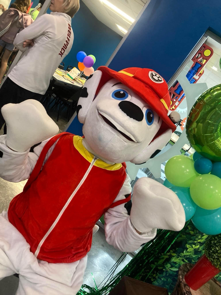 Marshal From Paul Patrol