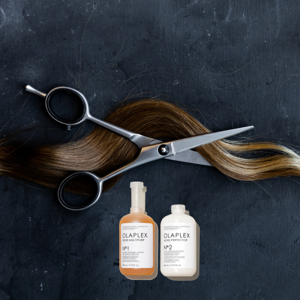 Signature Scissor Cut + Plex