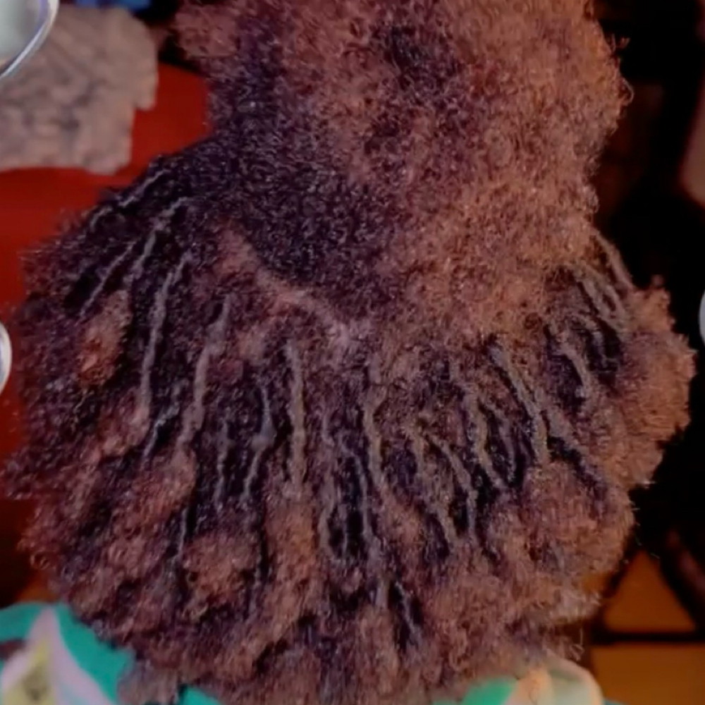 Finger Coils at Layla’s Locs of Luv in Palmyra, VA